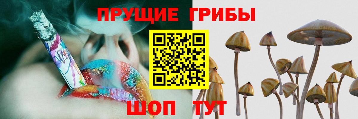 Аргун  Галлюциногенные грибы MAGIC MUSHROOMS  Вход с VPN 